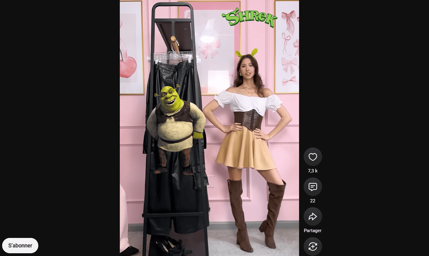 Shrek Group Halloween Costume Ideas: Easy DIY Outfit Inspo